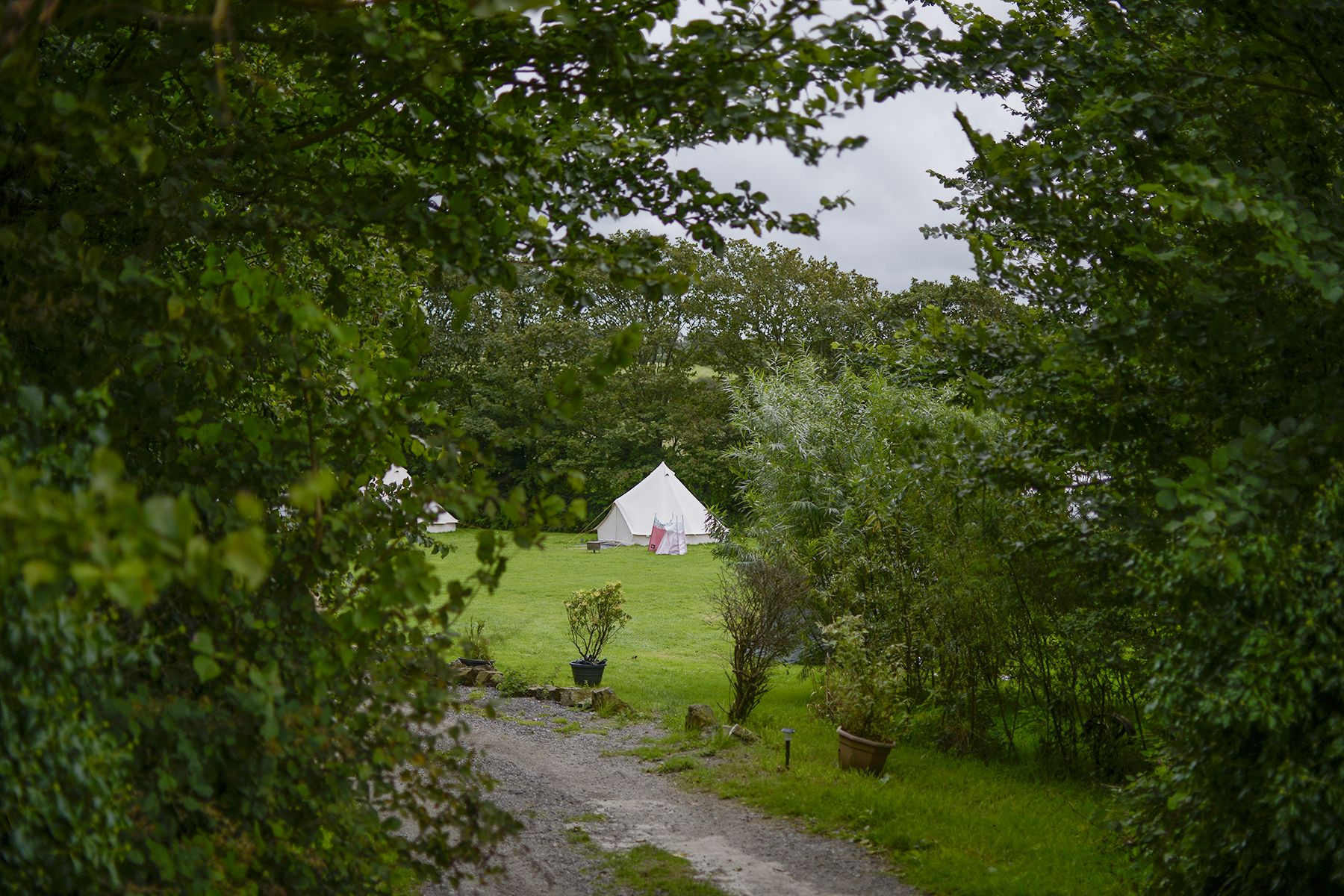 Elm Farm