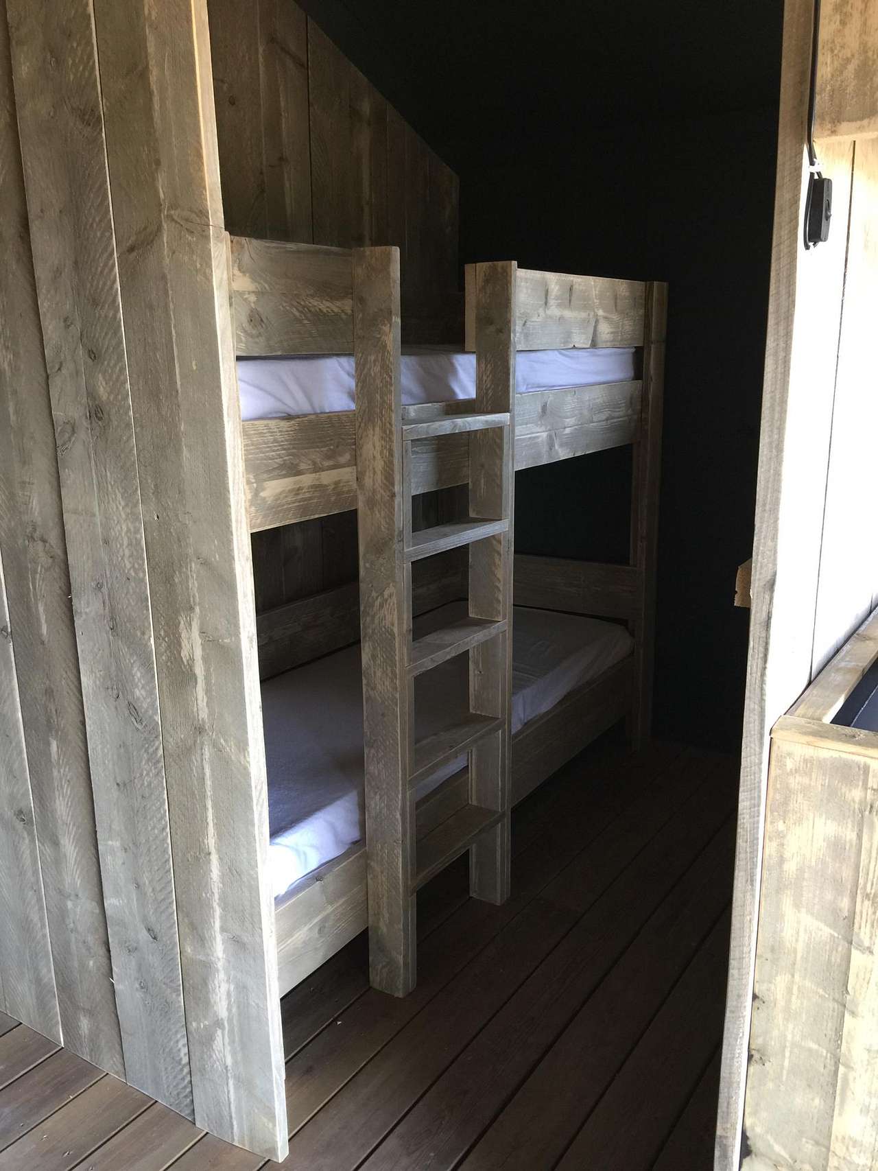 Safari Tent