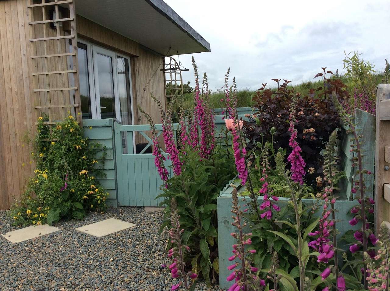 Hedgerow Hut
