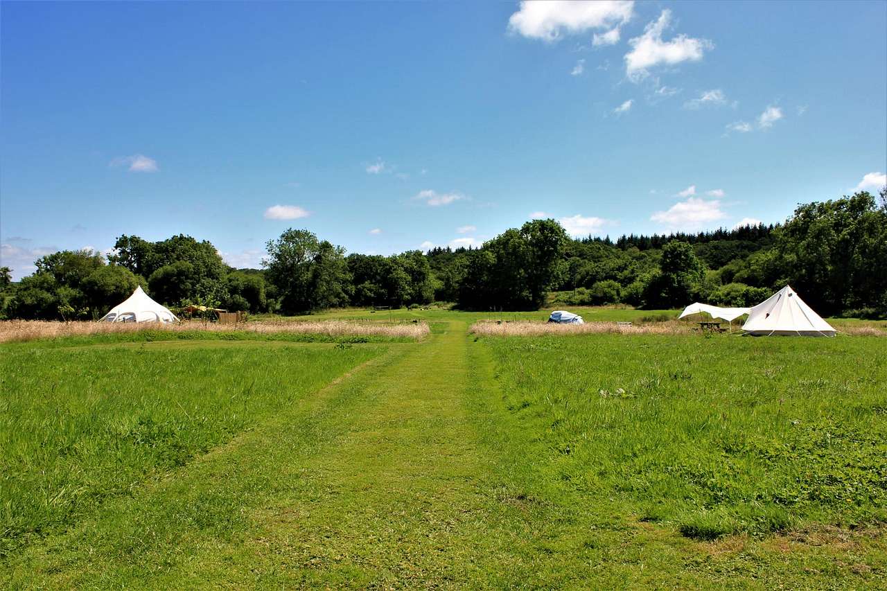 Tent Pitch
