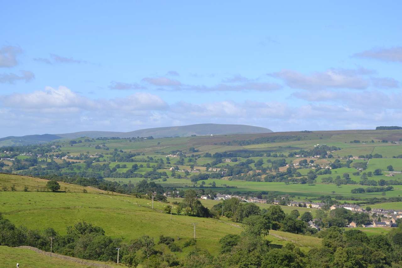 Bracken Hut