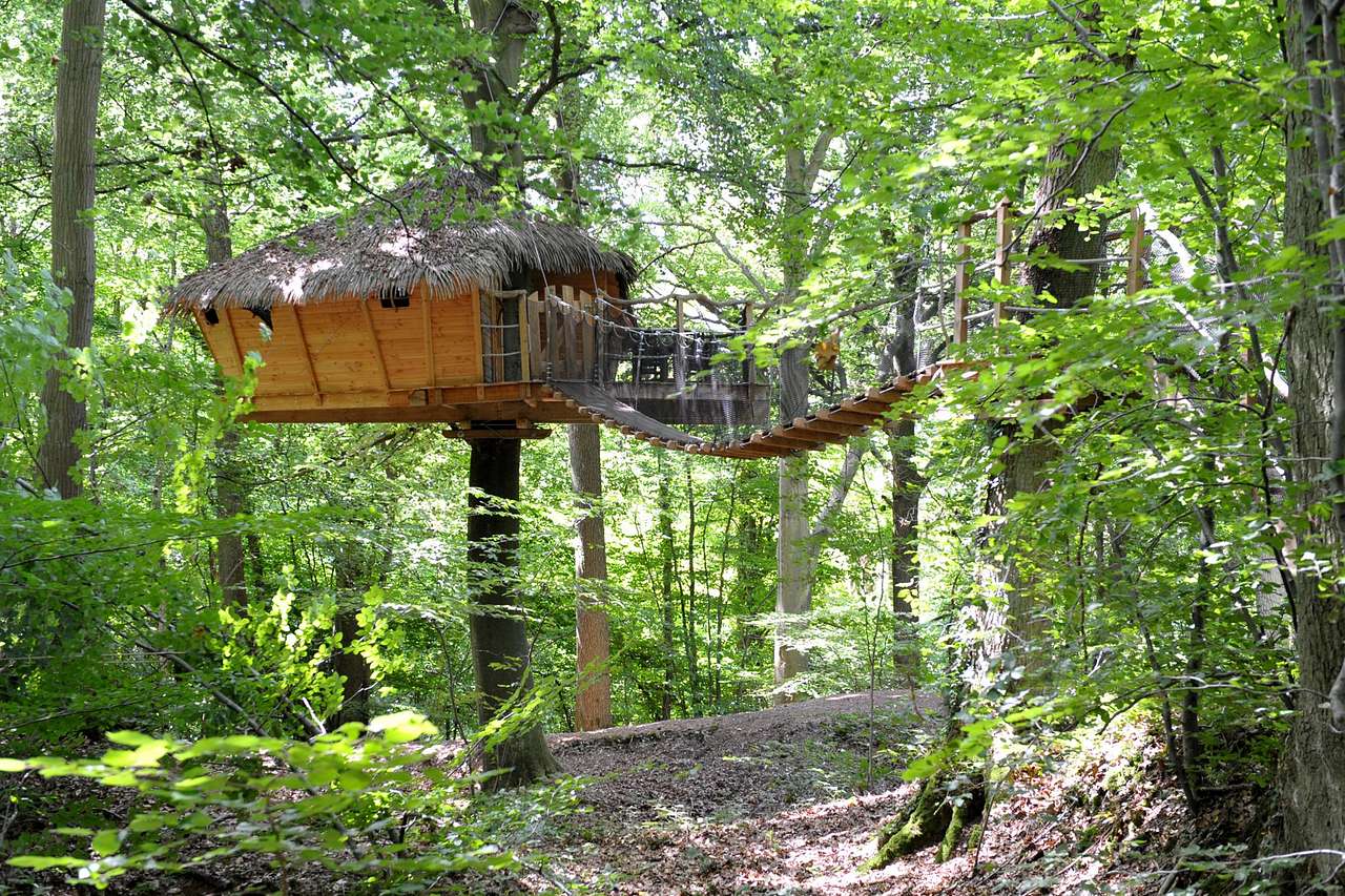 "Canyon" Family Tree House