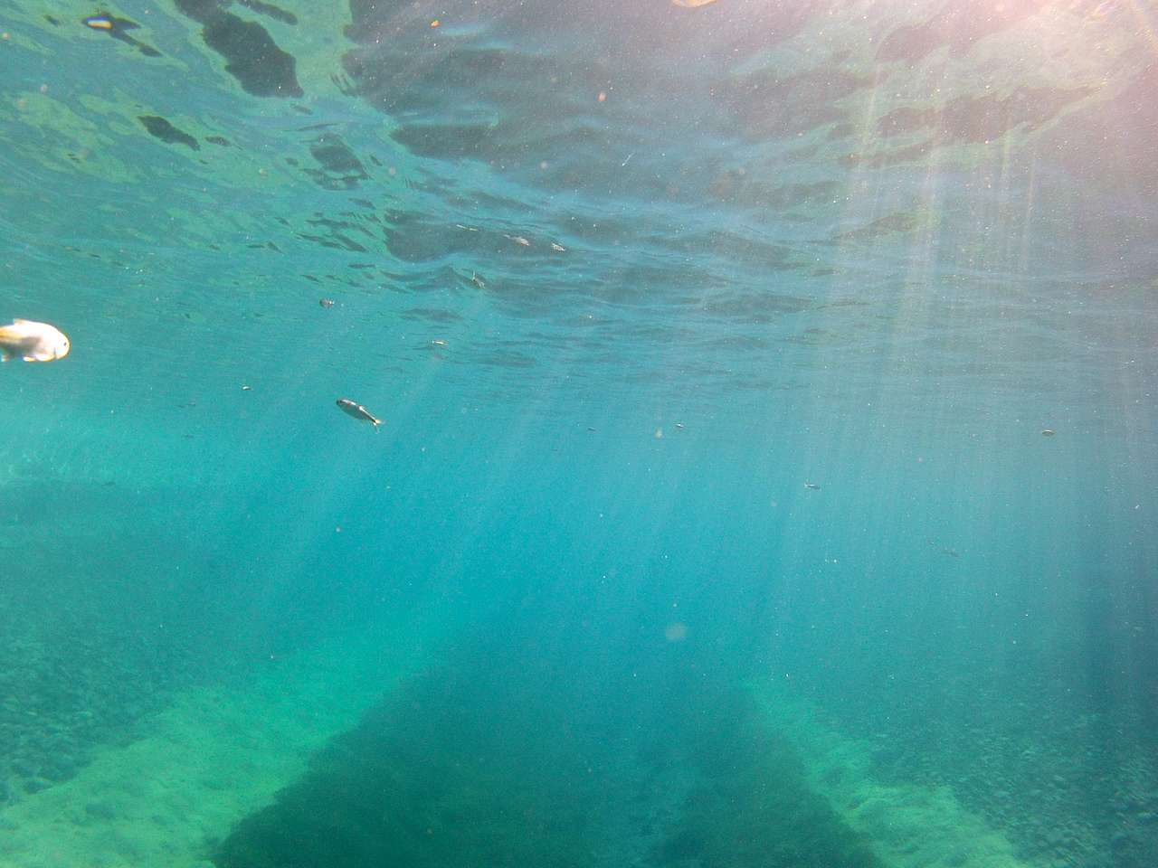 The best time to discover the Springs is early in the morning when the park is first opening.  There are less people and more time to explore all the beauty this park offers. 