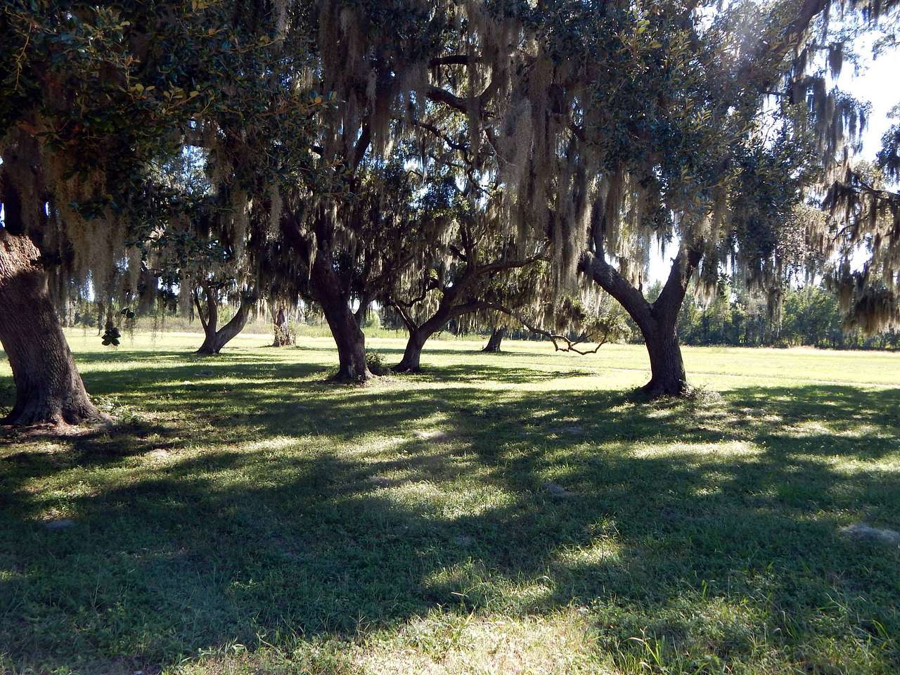 Brazos Bend State Park