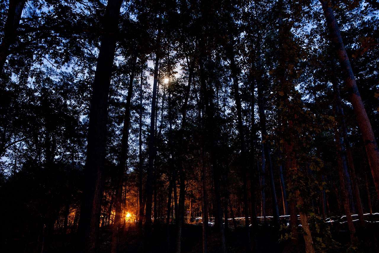 Tyler State Park