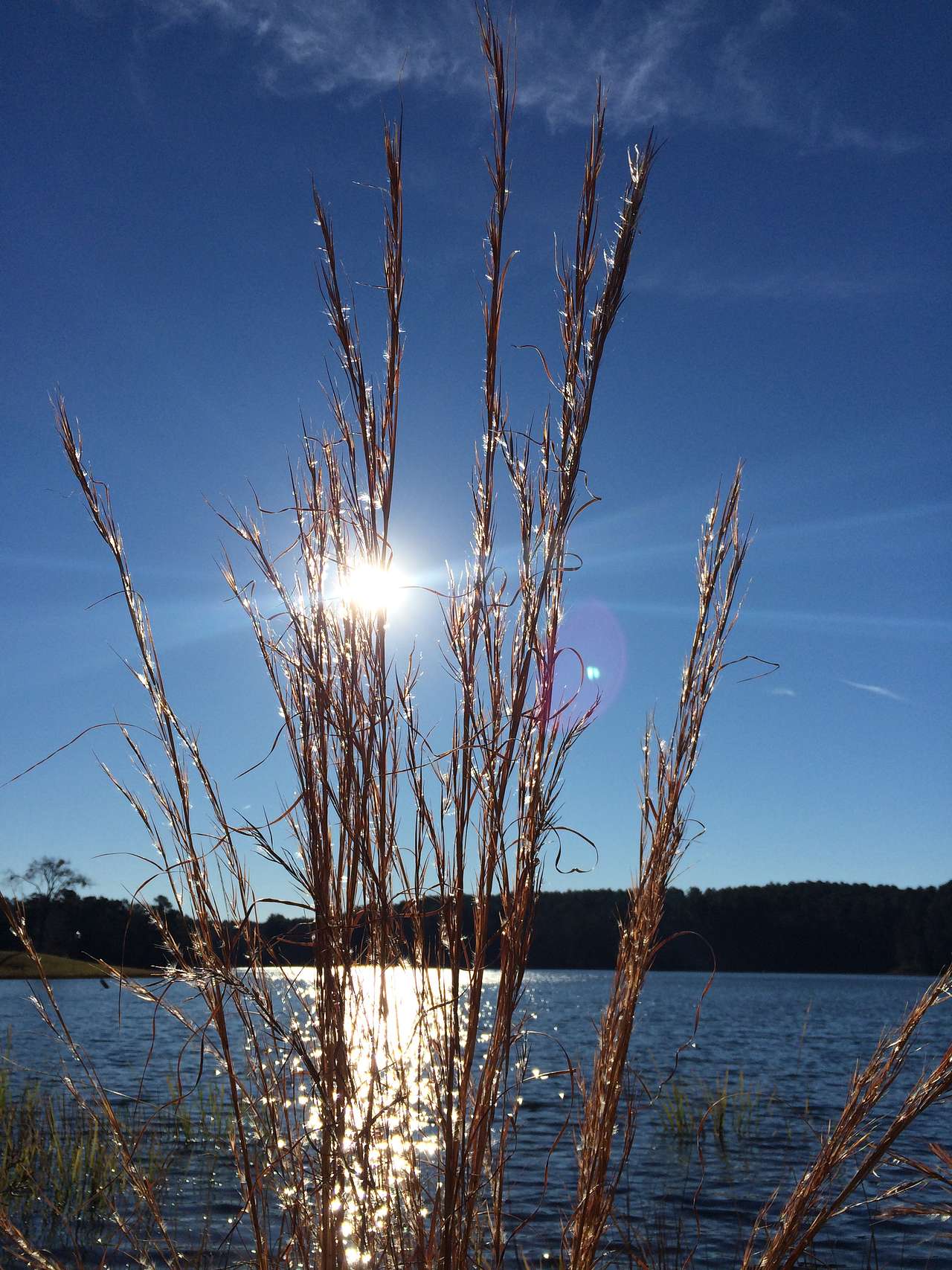 Tyler State Park