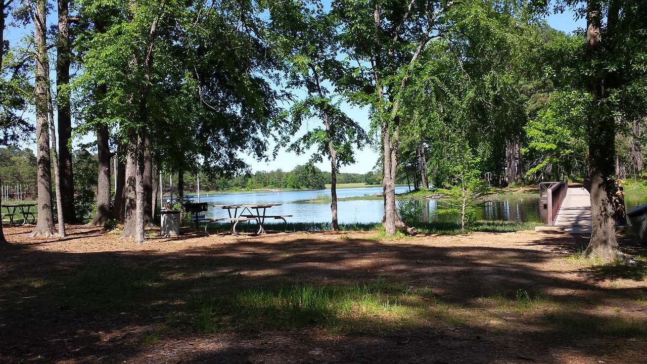 Martin Creek Lake State Park