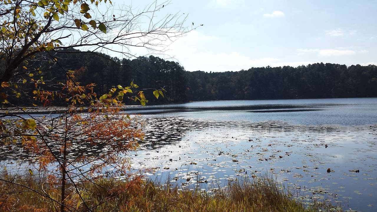 Daingerfield State Park