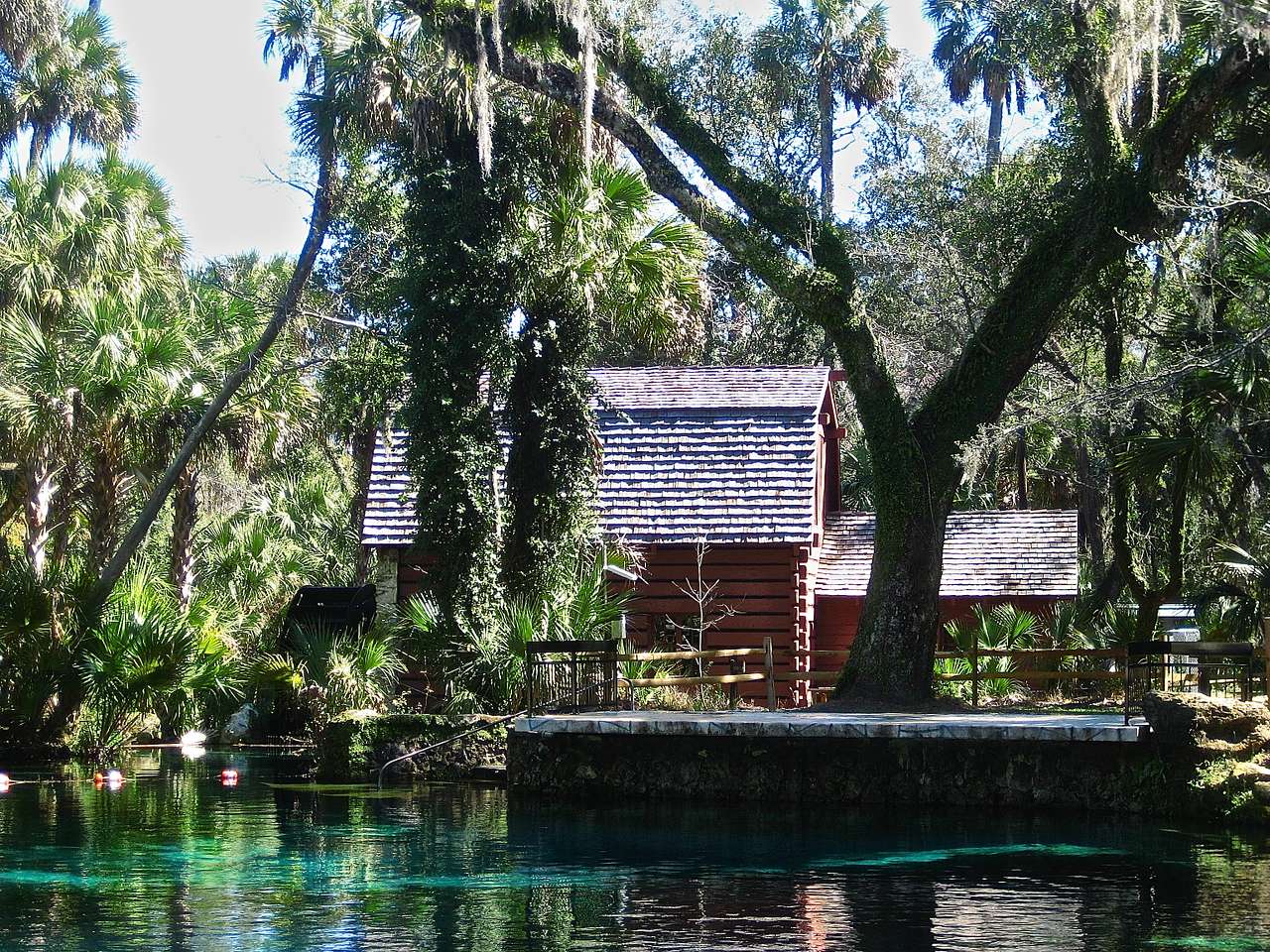 Juniper Springs Recreation Area and Campground
