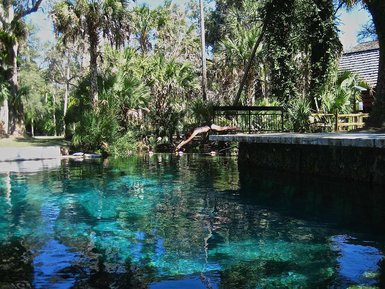 Ocala National Forest