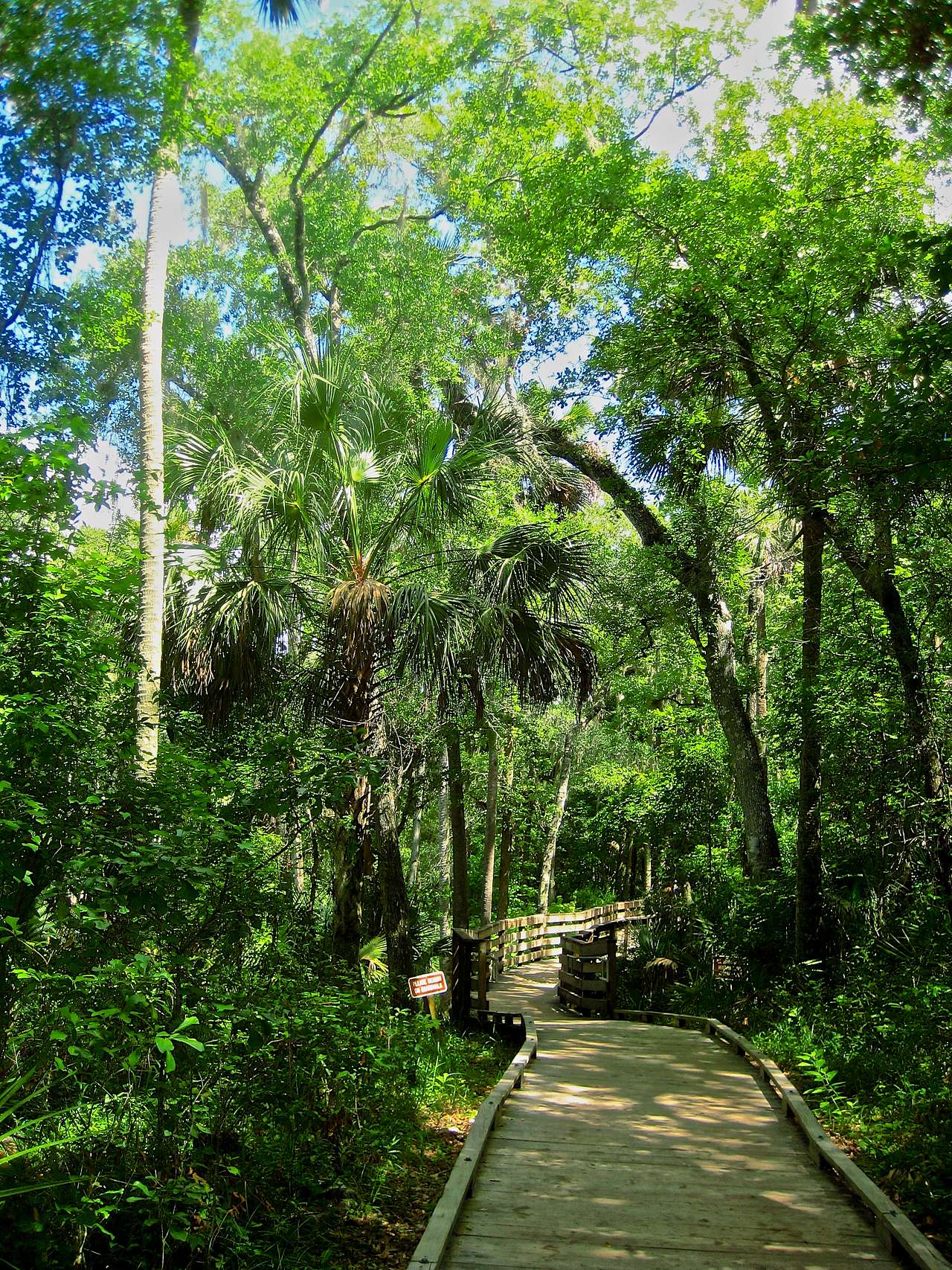 Blue Spring State Park