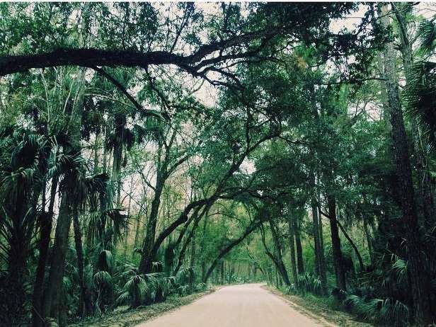 Highlands Hammock Campground