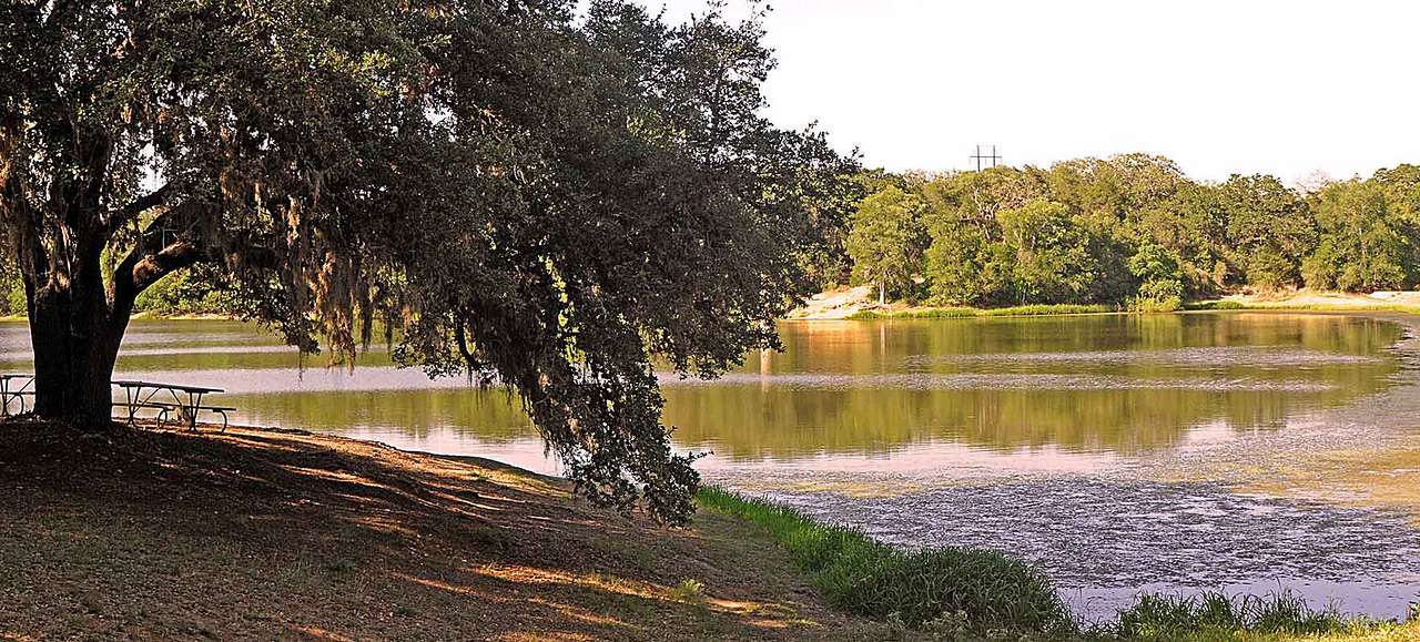 Buescher State Park