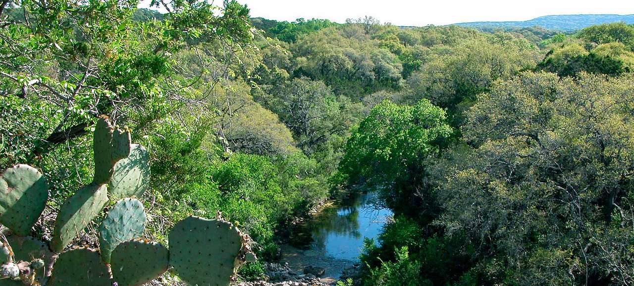 Frontcountry Campground