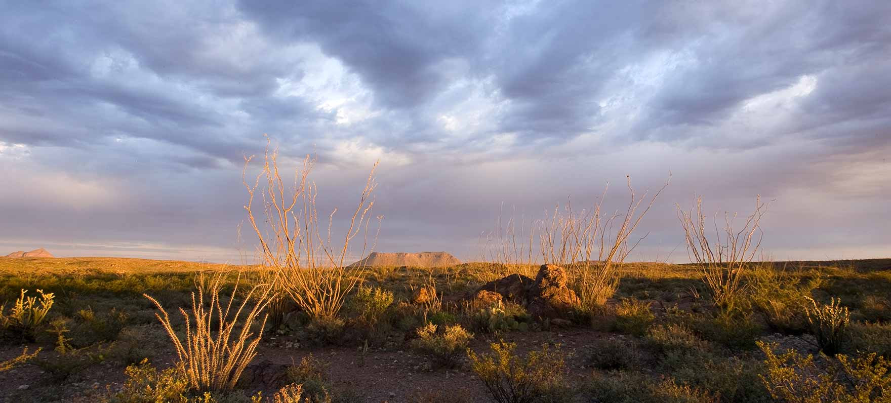 Big Bend Ranch State Park