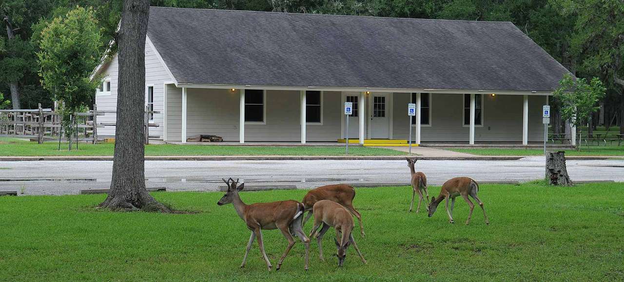 Stephen F. Austin State Park