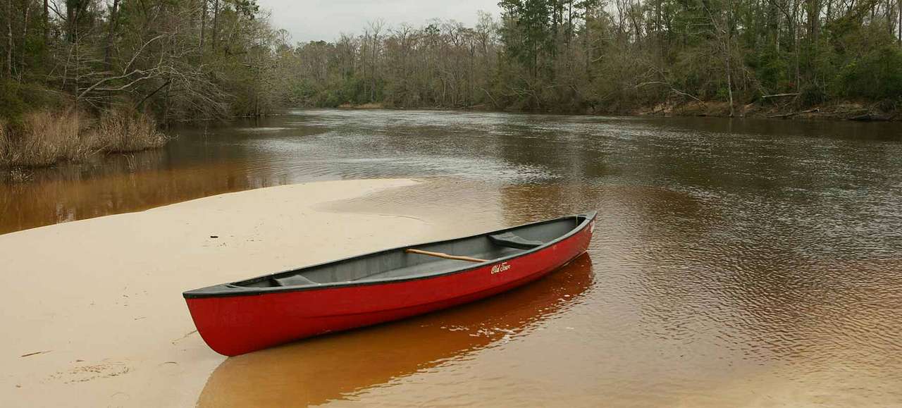 Village Creek State Park