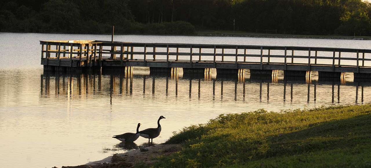 Bonham State Park