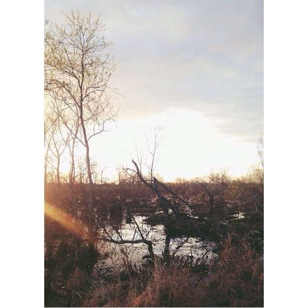 Paynes Prairie Campground