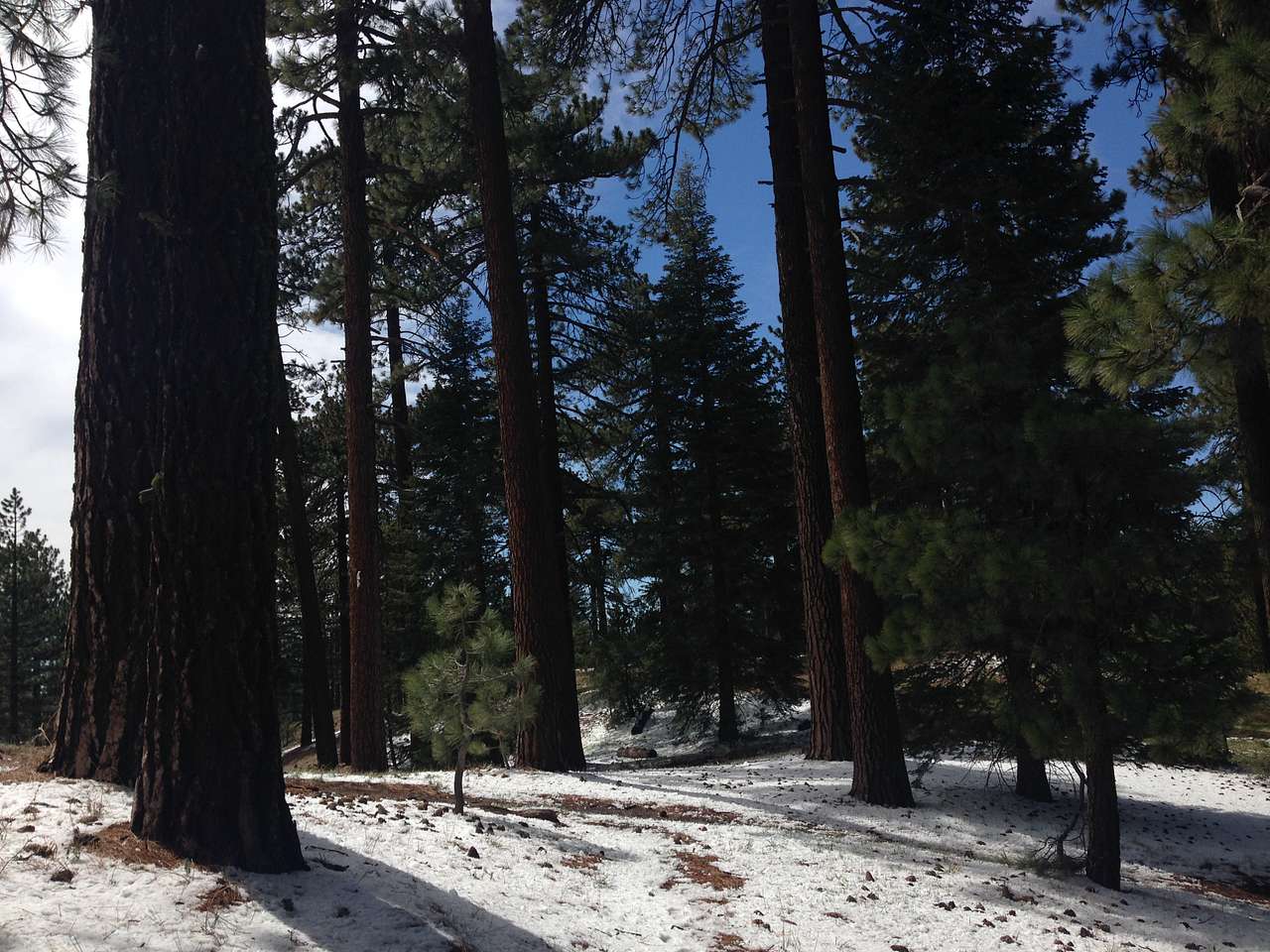 Snow in April 2014.