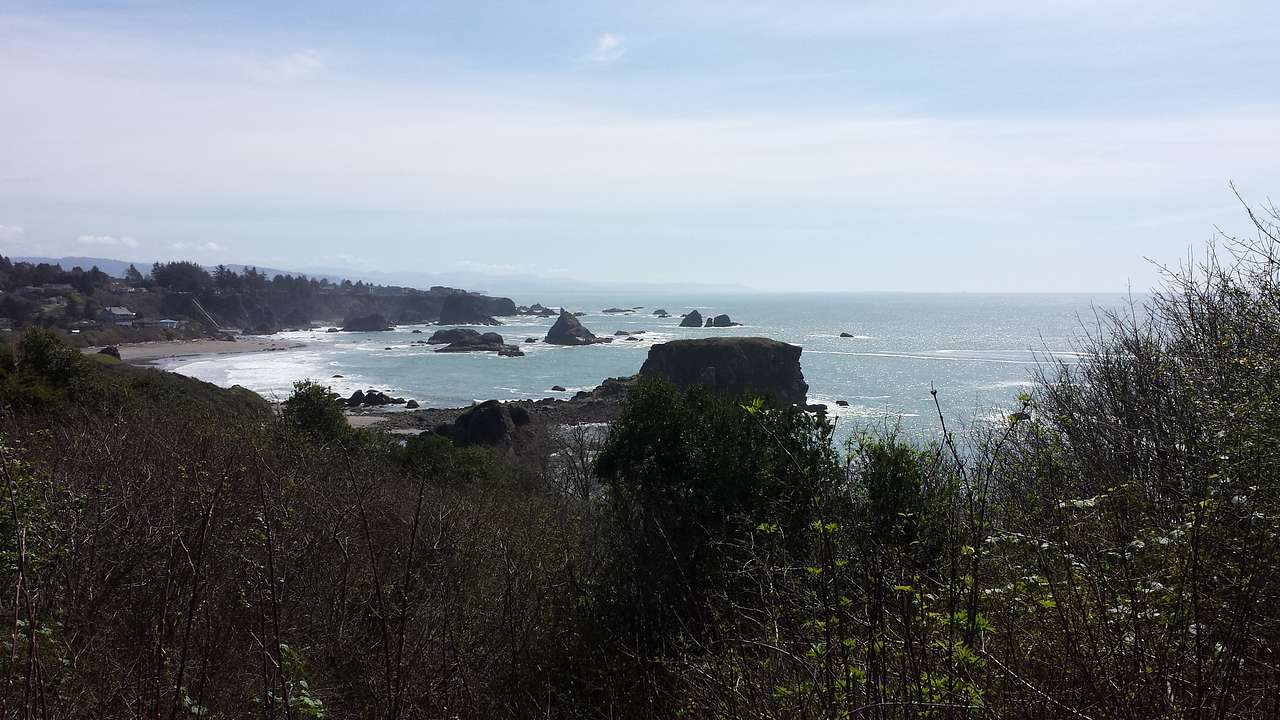 Looking south at Harris Beach Campground_March 2015