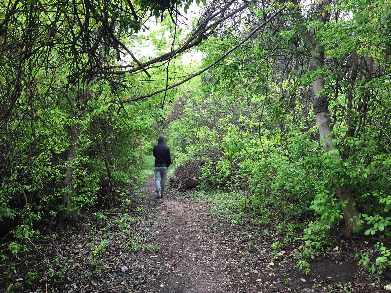 A 2.5 mile trail loops around the lake, through low-lying trees and brush. In the morning many varieties of birds are heard and seen flitting around. 