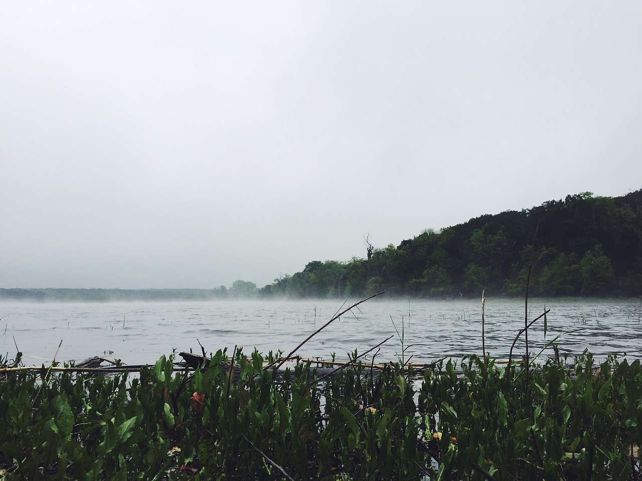 Foggy morning on Meridian Lake