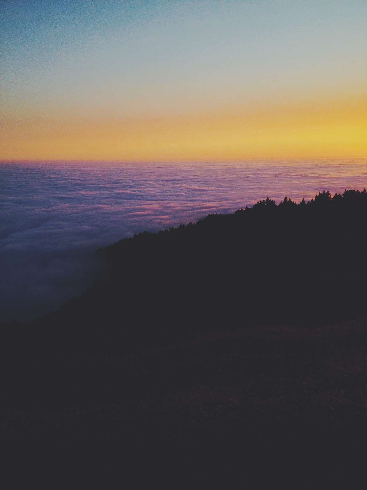 Mount Tamalpais State Park