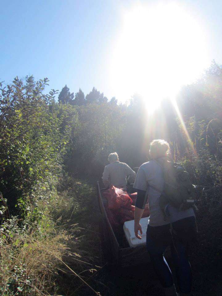 Entering one of the walk up sites (~5 minute walk from parking lot)-- very secluded!