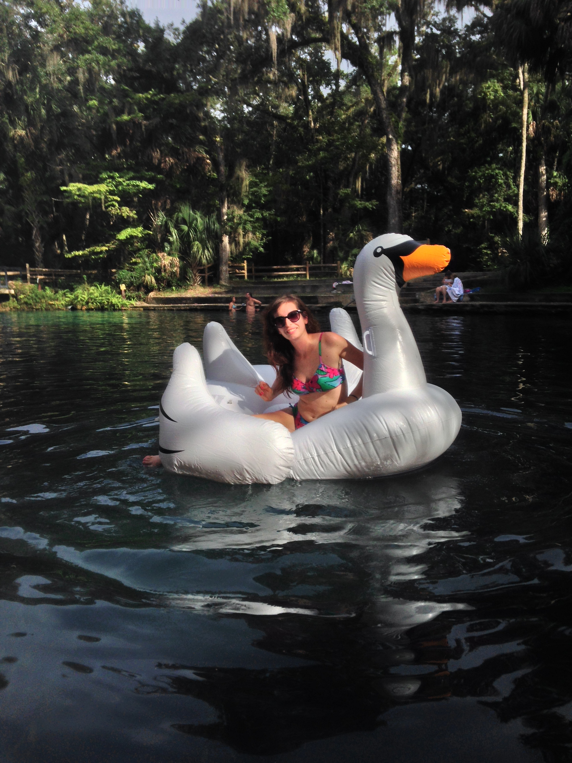 Ocala National Forest