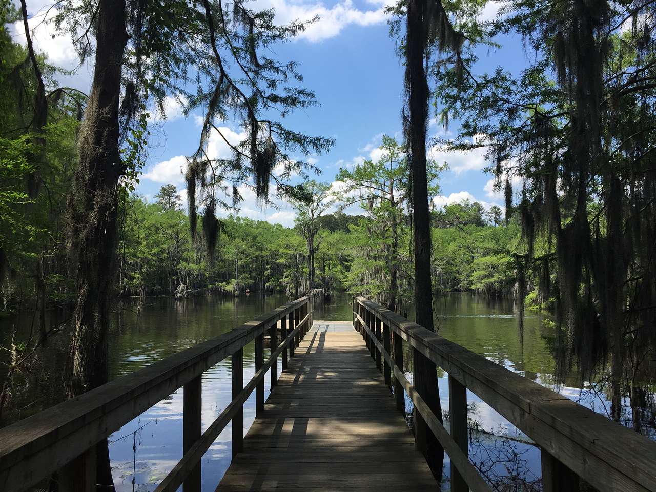 Spring in Caddo Lake
