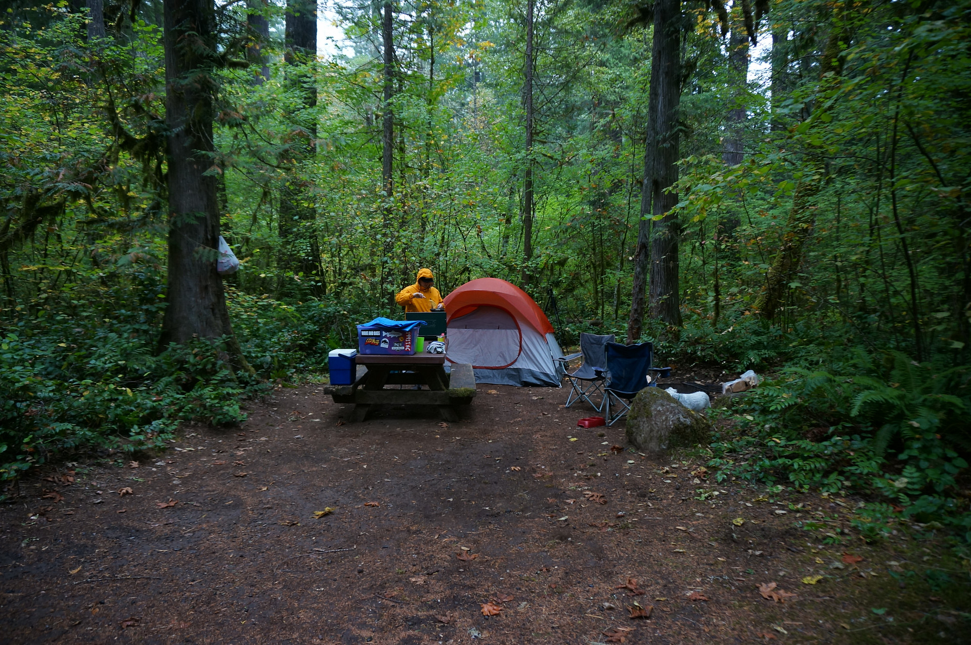 Willamette National Forest