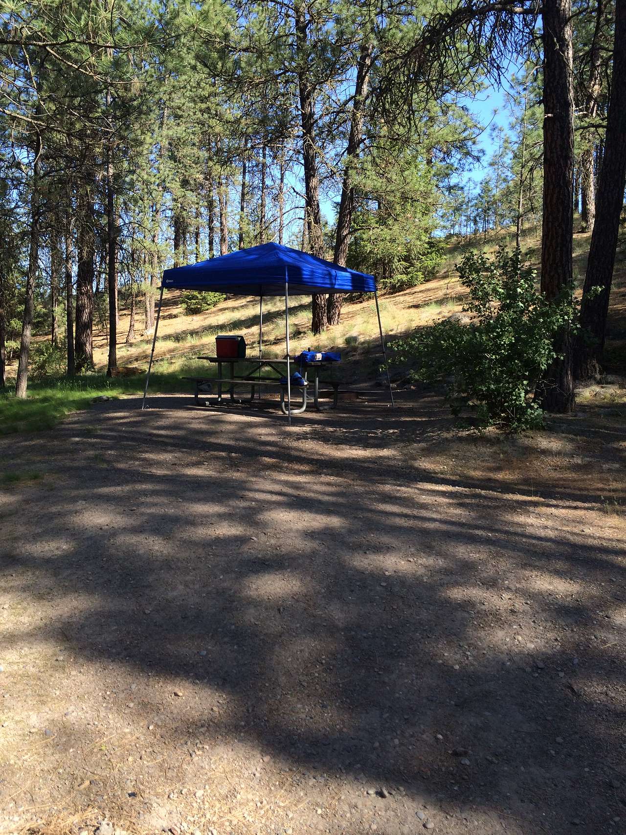 Site #24