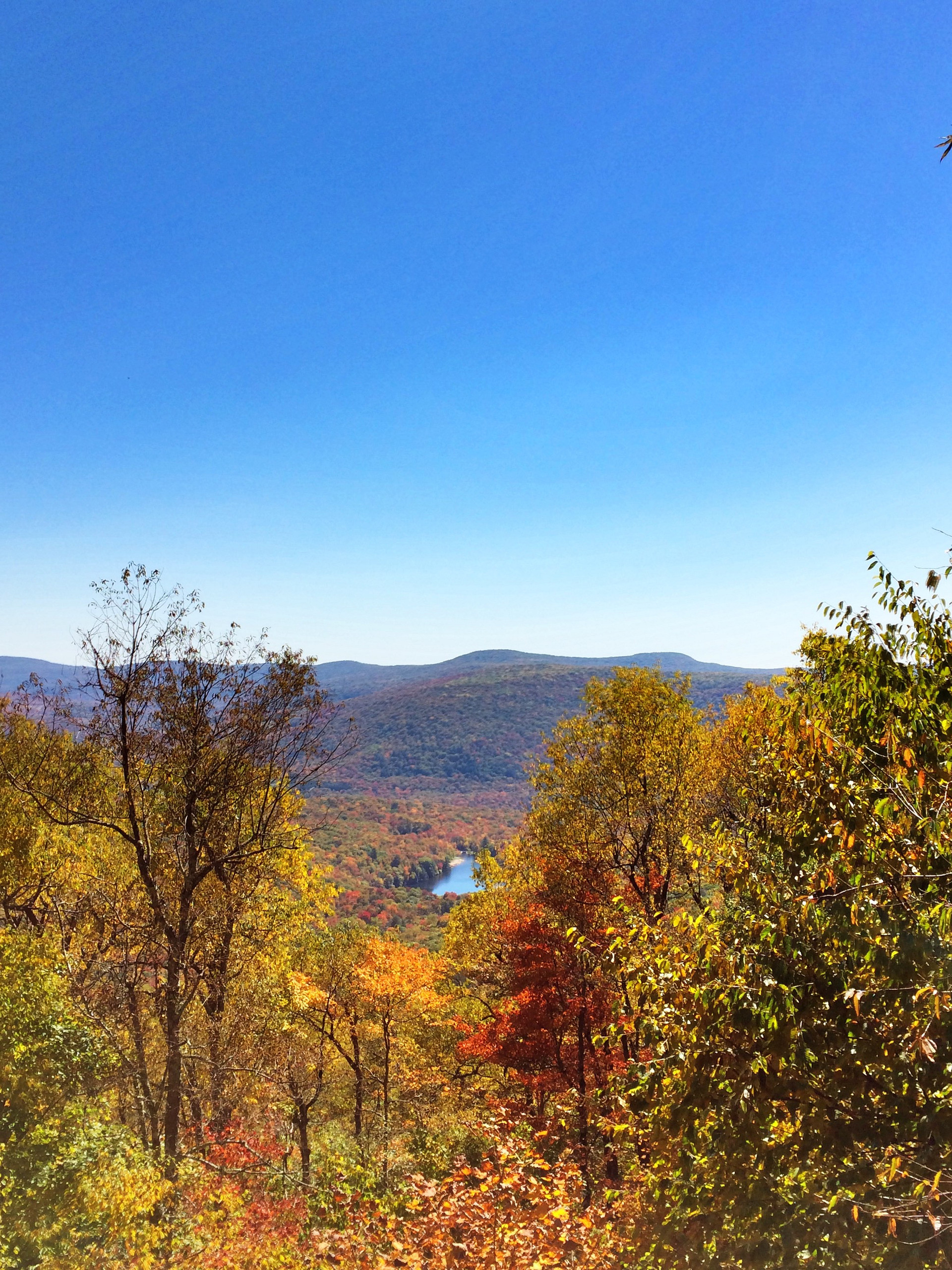 Beaverkill Vista