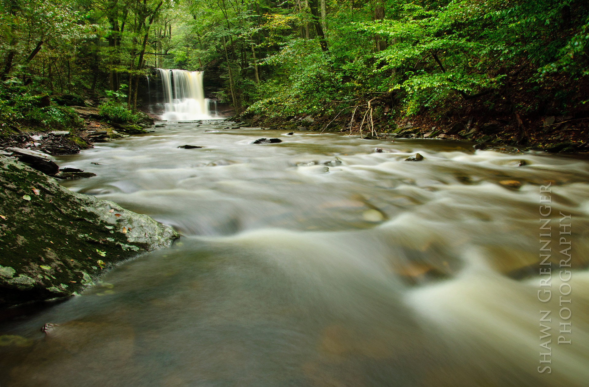 Sheldon Reynolds Falls