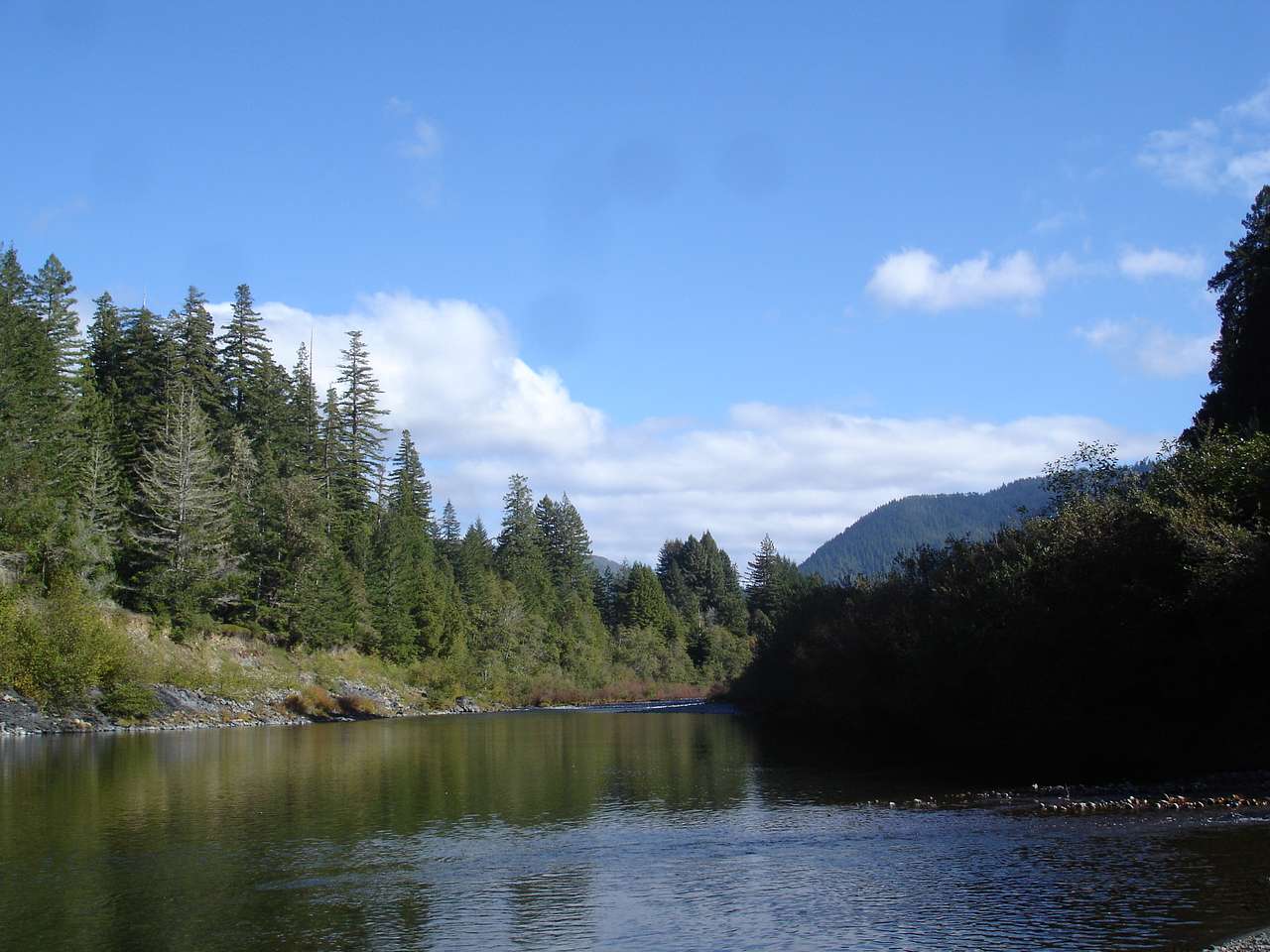 Jedediah Smith Redwoods State Park