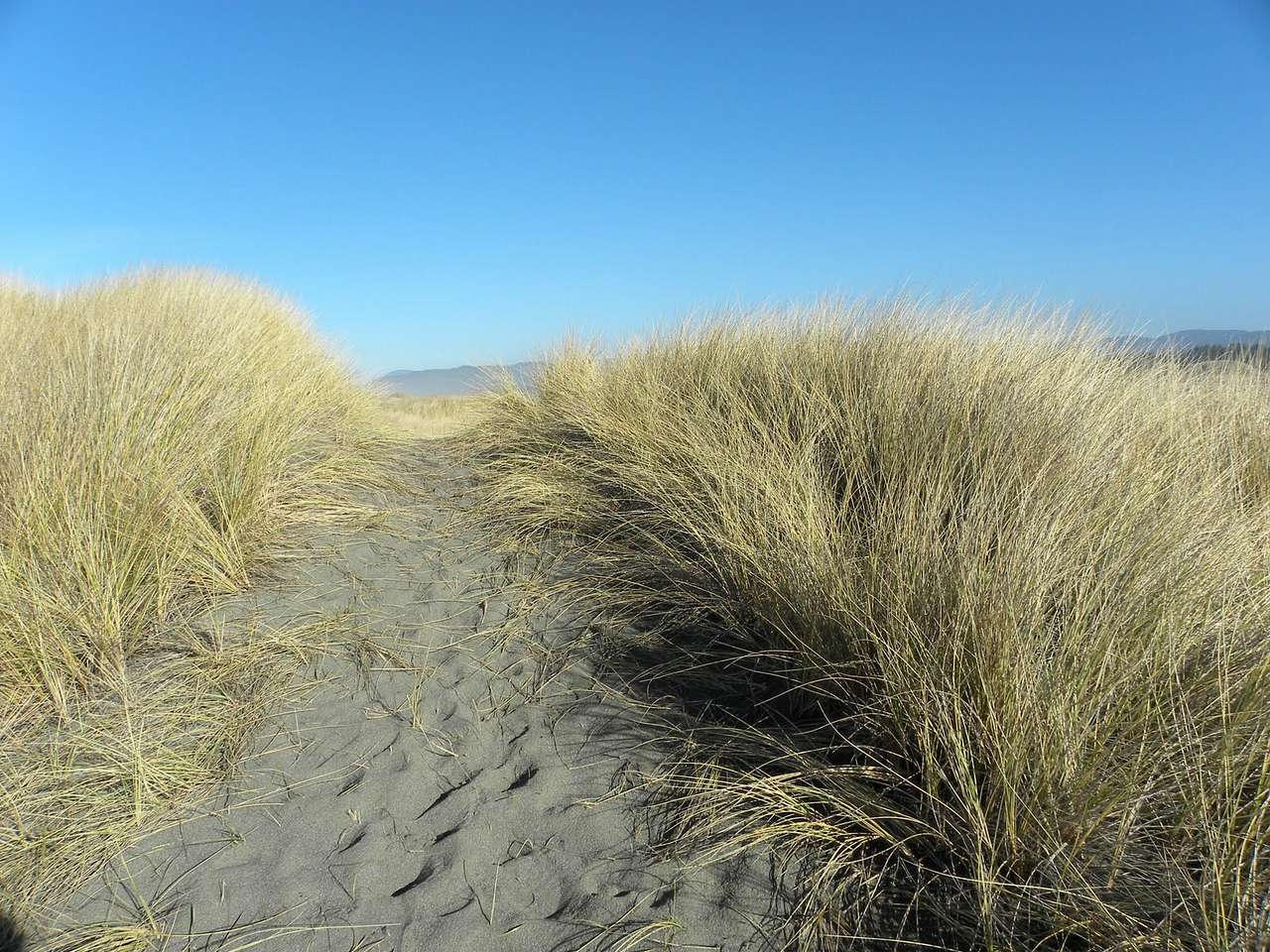 Tolowa Dunes State Park