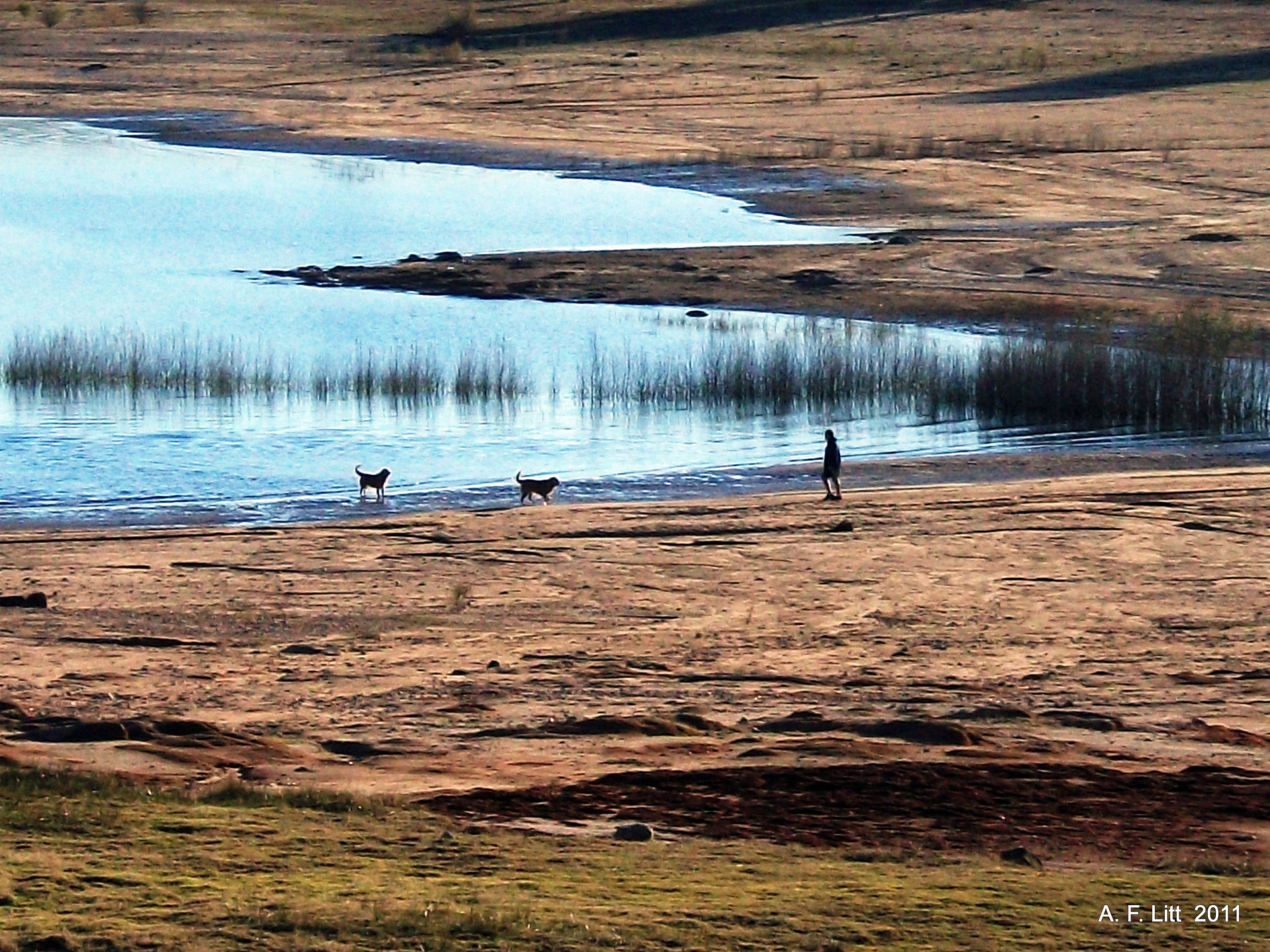 Averys Pond