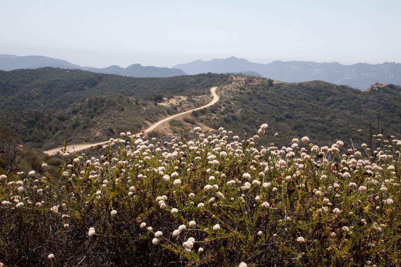 Topanga State Park