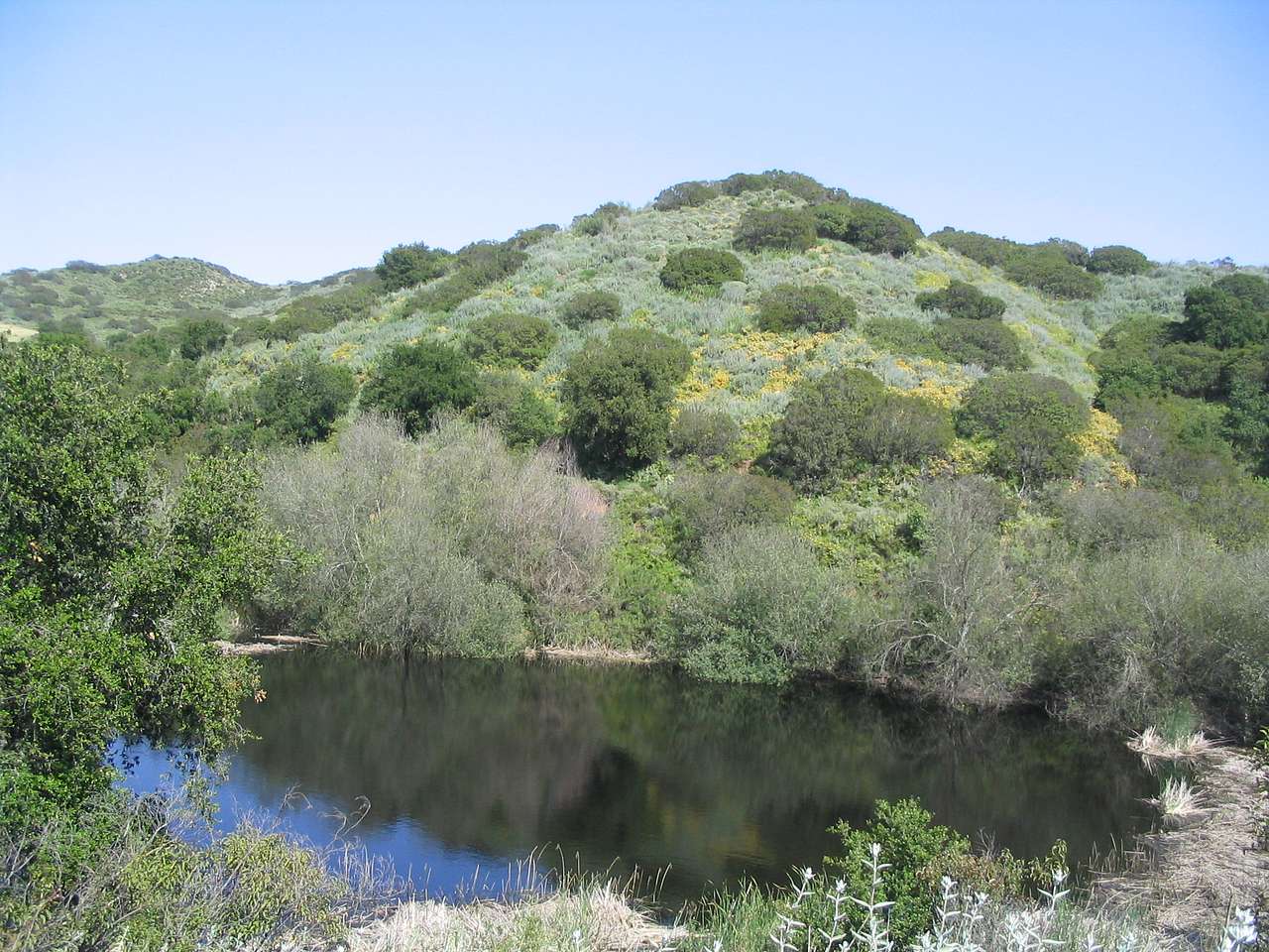 Sycamore Canyon Campground
