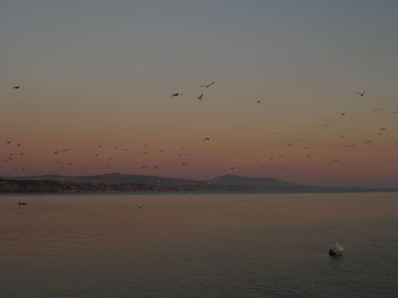 Doheny State Beach