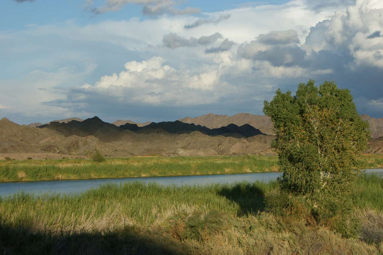 4 S Beach Campground