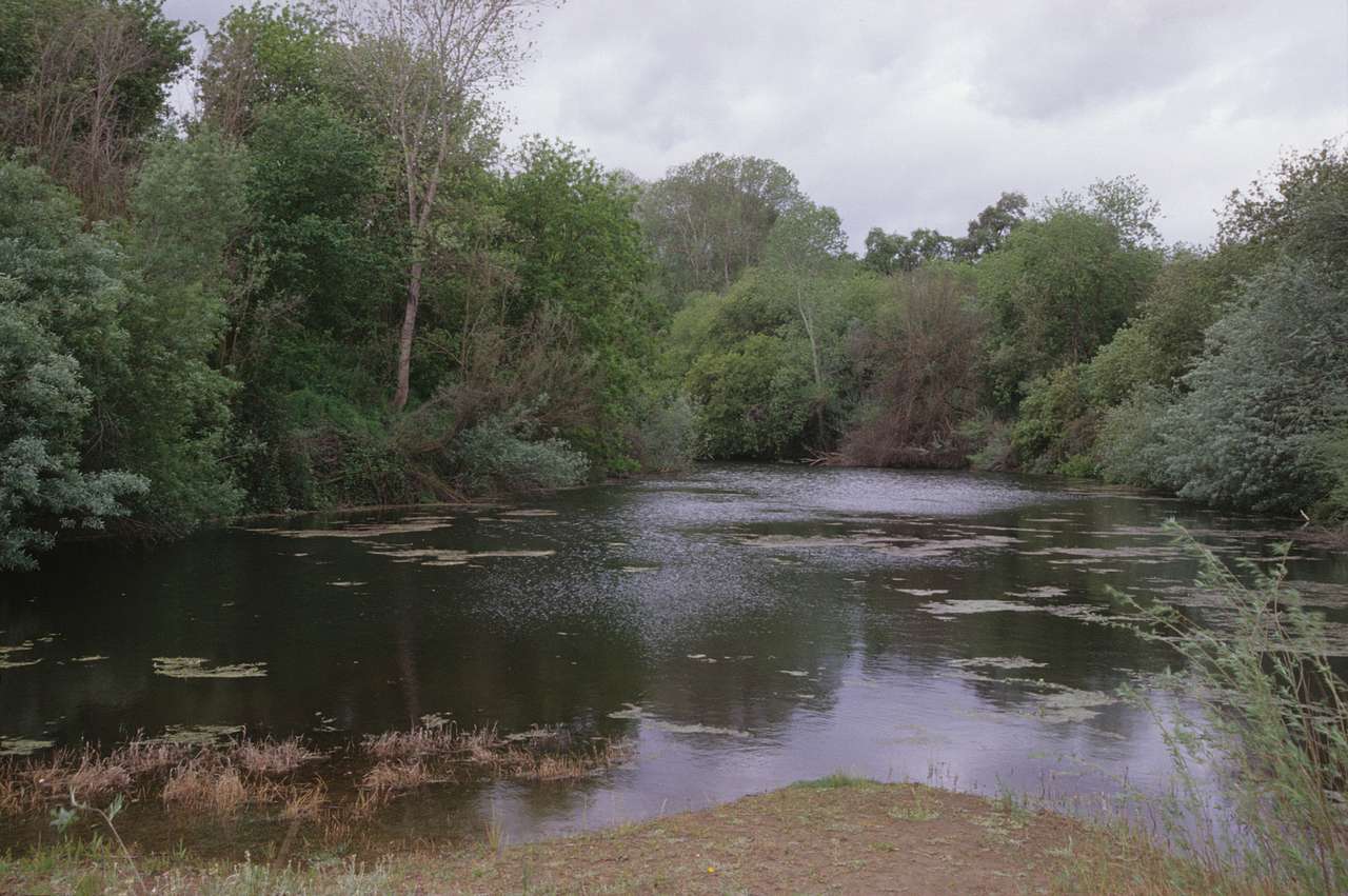 Caswell Memorial Campground