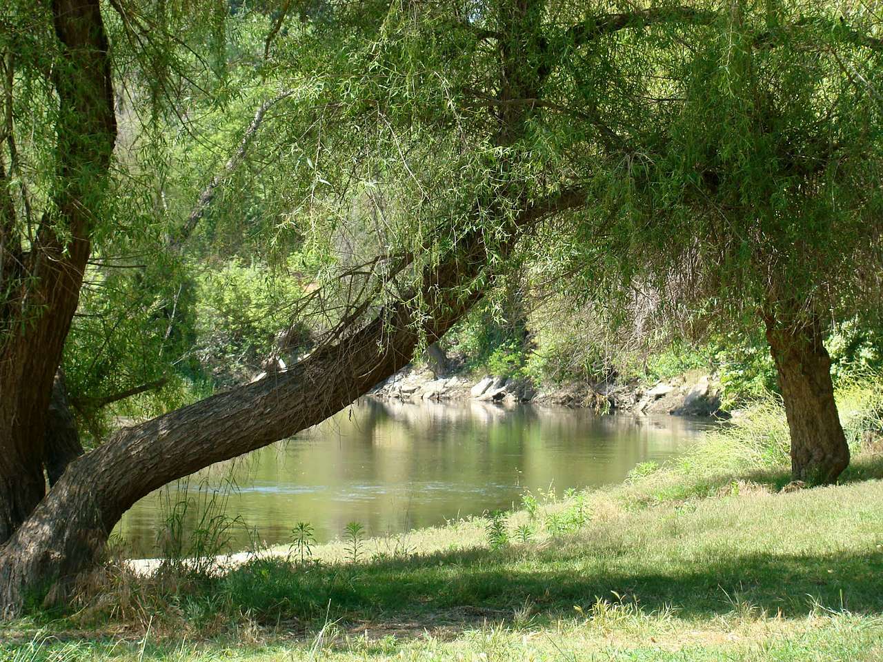 McConnell Campground
