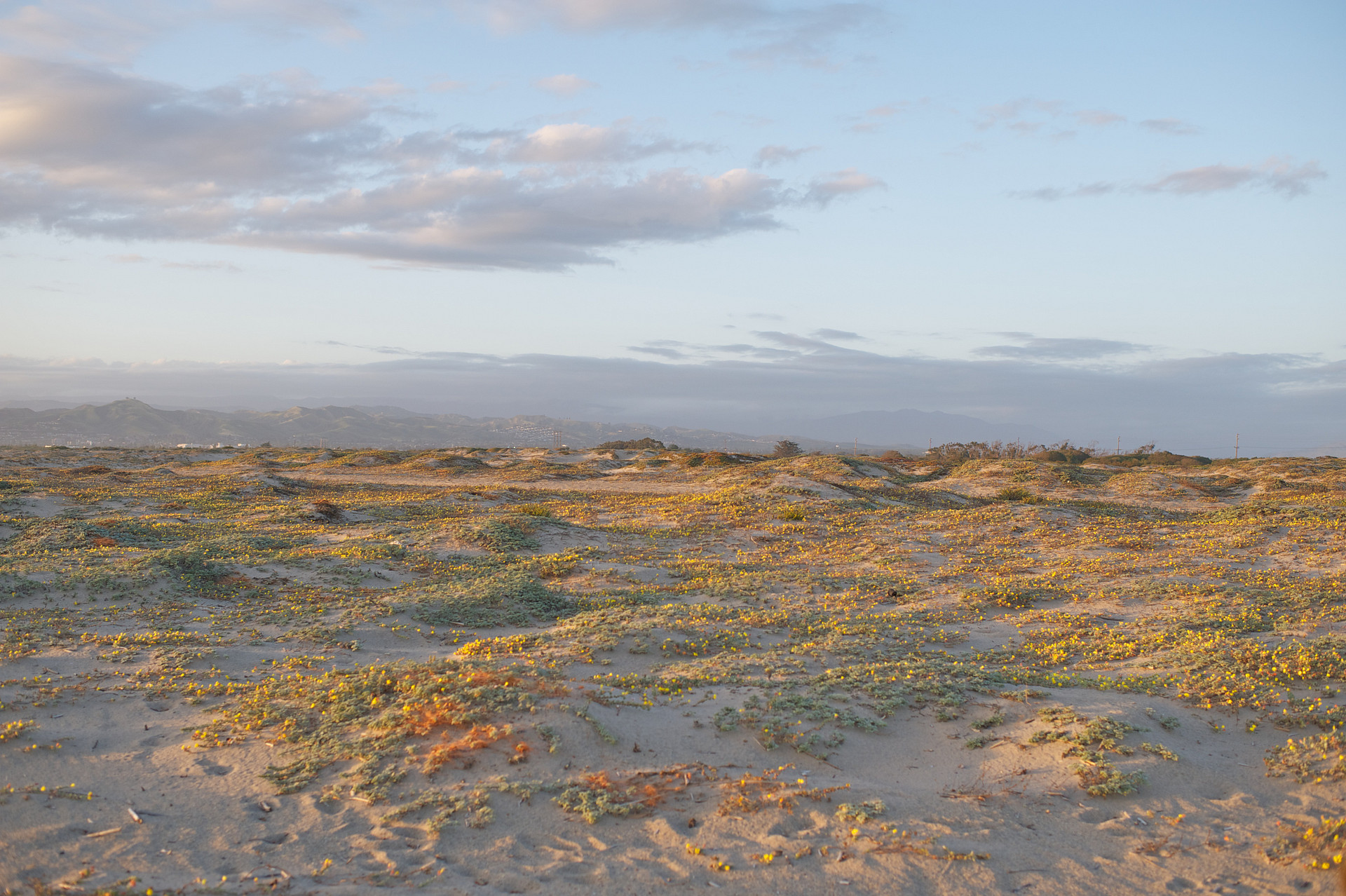 McGrath State Beach