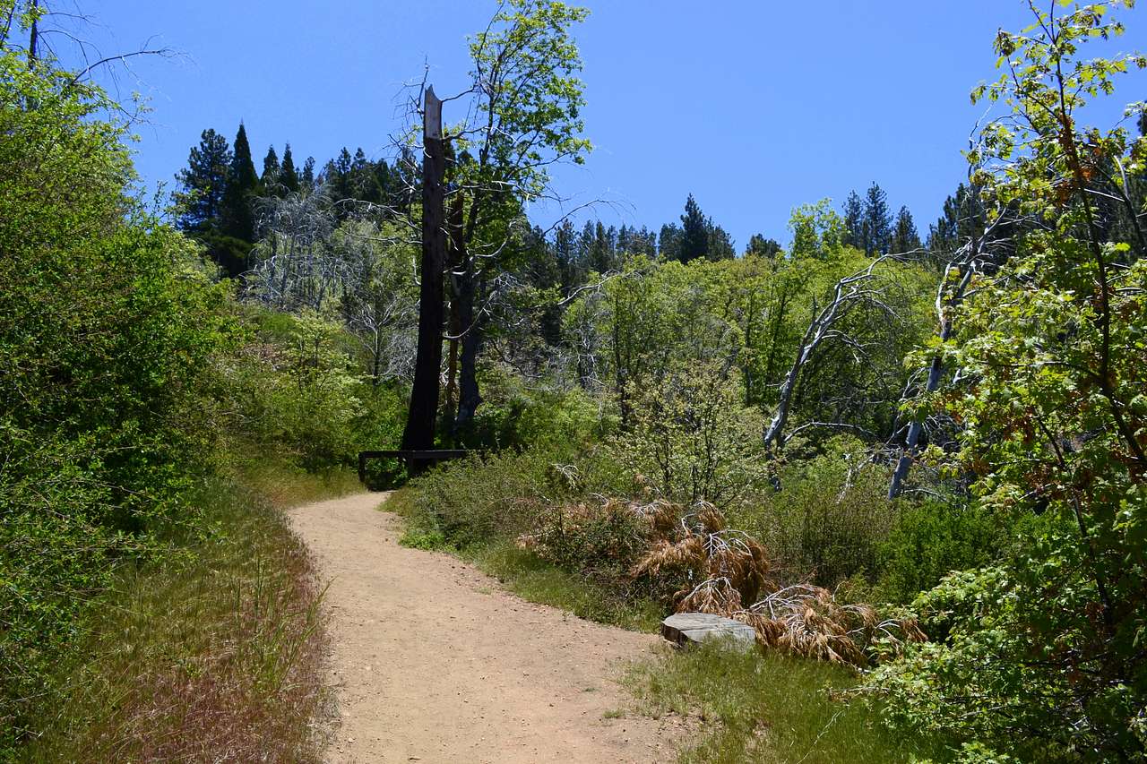 Tanglewood Group Campground
