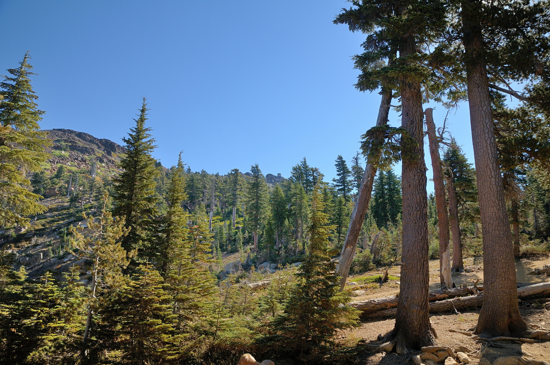 Silver Creek Campground