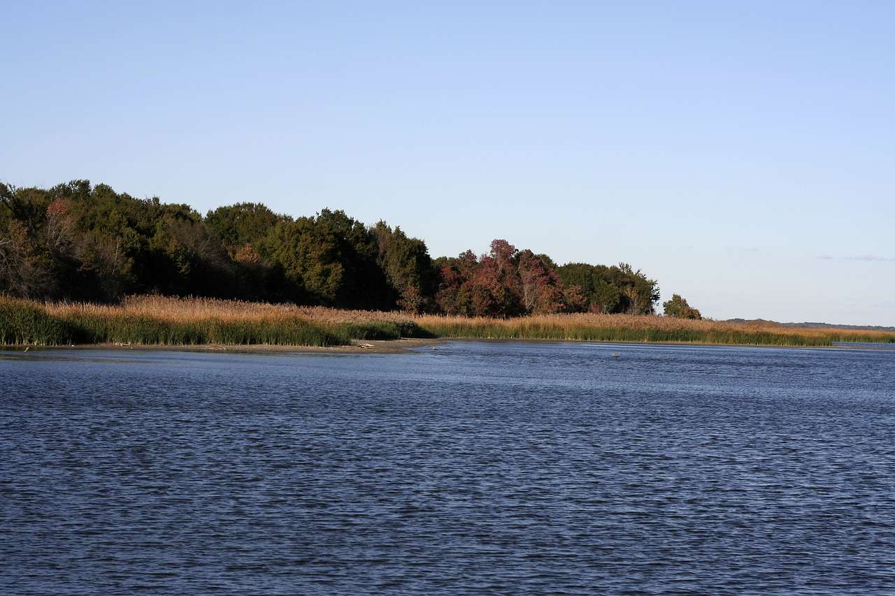Fairfield Lake State Park