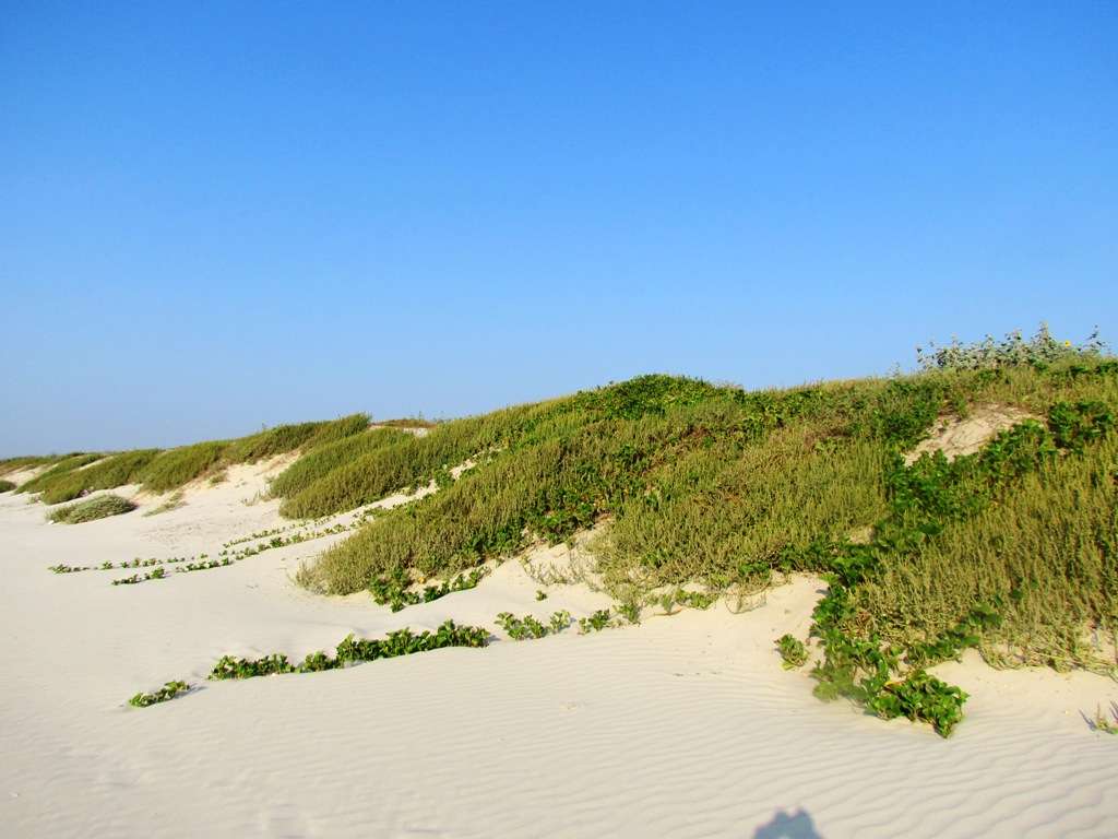 Mustang Island State Park