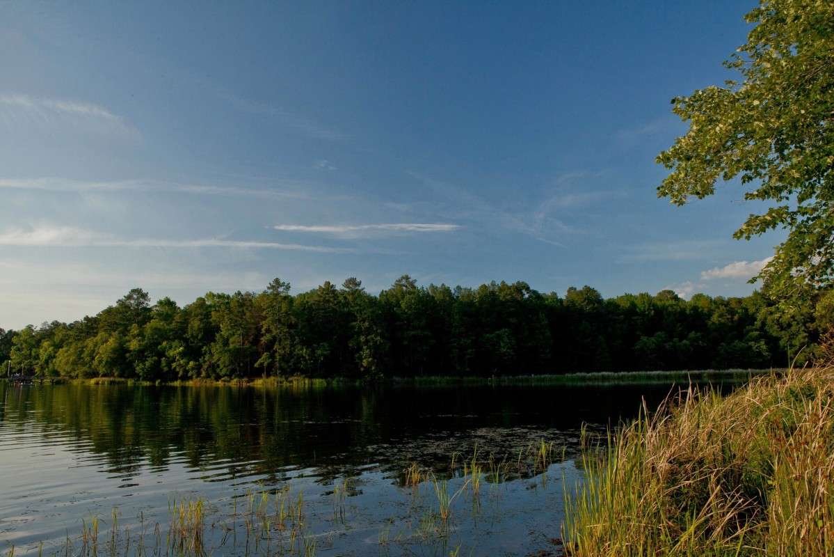 Tyler State Park